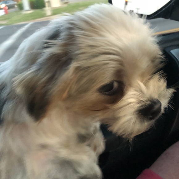 Meet your Posher, Jason - Picture 5 of 5